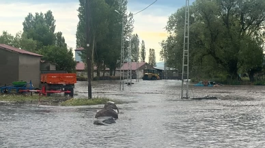 Mahsur kalan yaşlı çift iş makinesiyle kurtarıldı