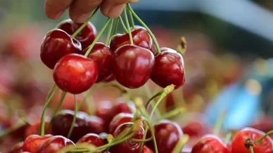 Yaşlı çift zehirlendi, 1 kişi hayatını kaybetti