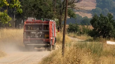 İspanya’daki orman yangınında 12 bin hektar alan zarar gördü