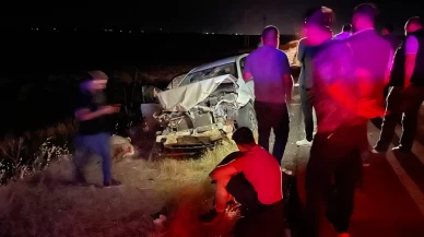 Koyun sürüsüne daldı: 3 yaralı, 11 telef