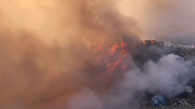Amasya'da 2,7 hektarlık alan küle döndü