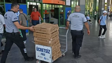 Otobüste 700 civciv ele geçirildi