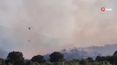 Balıkesir'de orman yangını alarmı!