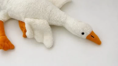 Ticaret Bakanlığı'ndan 'peluş kaz' oyuncağı için toplatma kararı