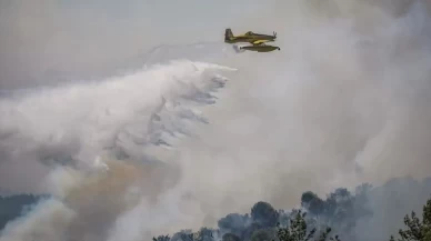 Aydın Çine ve Balıkesir Gömeç'te orman yangını