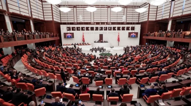 Meclis çocukları korumak için toplandı