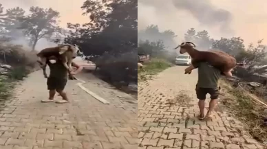 Yangından kurtarmaya çalıştığı keçiyi sırtına alarak taşıdı