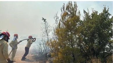 Balıkesir’de orman yangını çıktı