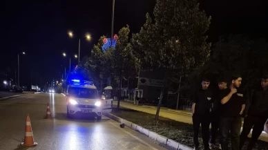 Yola çıkan ineğe motosiklet çarptı