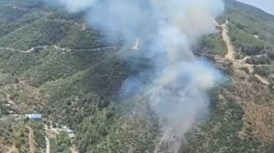 İzmir’in Narlıdere ilçesinde orman yangını