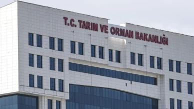 Bakanlık güvenlik görevlisinden büro personeline 1.874 çalışan alacak! ✅