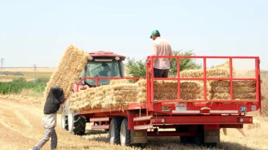 Tekirdağ'da orman yangınlarına karşı acil önlem