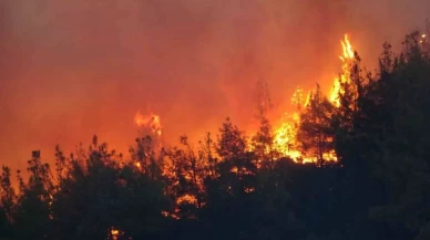 Çanakkale’de yangın alarmı