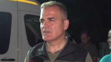 Muğla'daki orman yangınında son durum