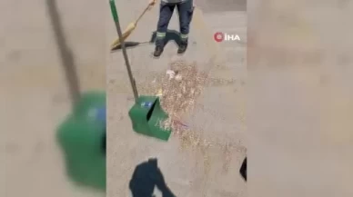 Parkı kirletenlere vatandaş isyanı