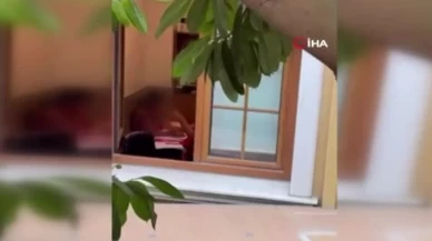 Şiddet uygulayan öğretmen tutuklandı
