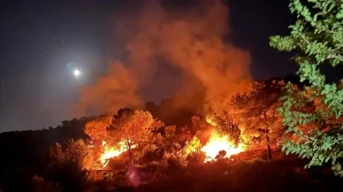 Muğla, Antalya ve Balıkesir yangınlarında son durum!