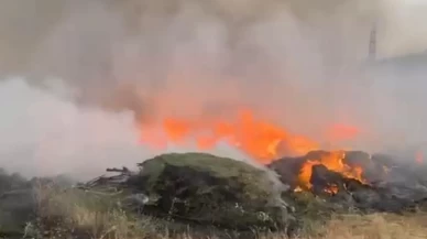 Bingöl'de orman yangınına müdahale sürüyor