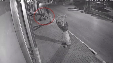 Tahliye edilen saplantılı komşu hakkında karar