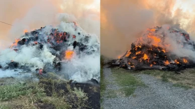 Iğdır'da korkutan yangın