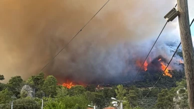 Fethiye'de orman yangını! Muğla Valisi açıklama yaptı