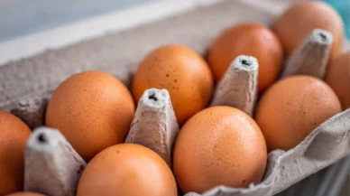 Her gün yumurta yemek zararlı mı?