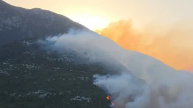 Son dakika... Antalya Kaş'ta orman yangını! Ekipler havadan ve karadan müdahale ediyor