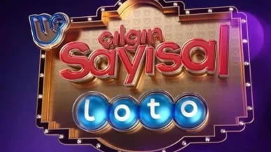 Çılgın Sayısal Loto çekilişi açıklandı! 29 Temmuz 2026 kazanan şanslı numaralar