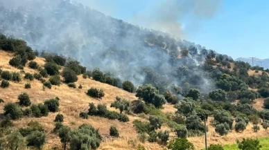 Aydın’da otluk alanda çıkan yangın makiliğe sıçradı