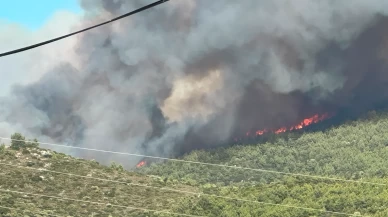 Milas'ta korkutan orman yangını alarmı