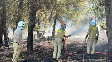 Osmaniye'de yangın: Çalılık alandaki alevler ormana sıçradı