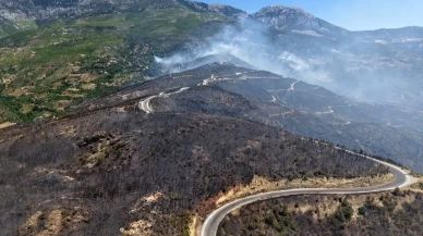 Alanya orman yangınında acı bilanço: 305 dekar alan küle döndü