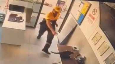 Kedinin saldırdığı kargayı görevli kurtardı