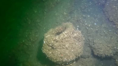 27 yıl sonra Marmara Depremi'nin su altındaki izleri: Japon uzman Değirmendere'de dalış yaptı