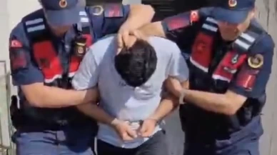Edremit'teki orman yangınının arkasından kıvılcım düzeneği çıktı