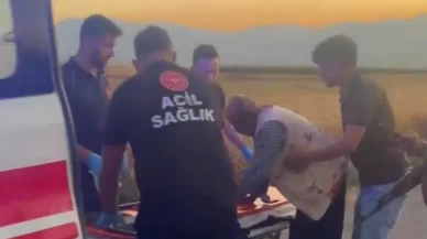Hayvan otlatma tartışması sopalı kavgaya dönüştü