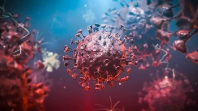 O ülkede Ebola varyant alarmı