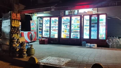 Ağabeyini ayırmak isterken yaralandı