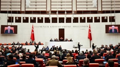 Çerçeve Yasa maddeleri tam liste 2026! Çerçeve Yasa nedir, neleri kapsıyor?