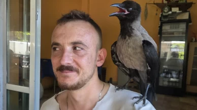 Karga ile kurtarıcısının inanılmaz dostluğu