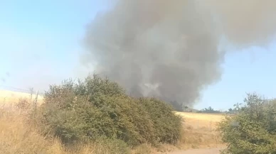 Çanakkale Ezine'de korkutan yangın!