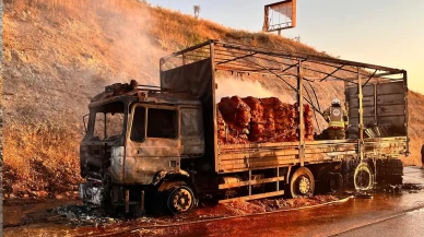 Manisa'da seyir halindeki tır alev topuna döndü