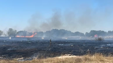 Tekirdağ’da boş arazide çıkan yangın evlere ulaşmadan söndürüldü