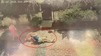 Ağızlığı olmayan pitbull dehşet saçtı! Küçük kız ve köpeği yaralandı