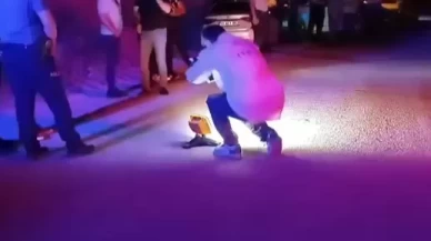 Yol ortasında cansız bedeni bulundu