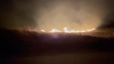 Anız yangını korku dolu anlar yaşattı