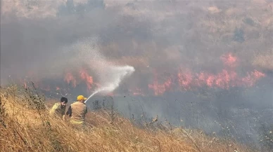 Çanakkale'de orman yangını! Vali açıklama yaptı