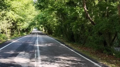 Ağaçların çevrelediği kara yolu görenleri hayran bırakıyor