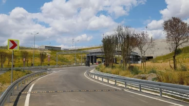65 ağaç ve çalıya yeni yaşam alanı