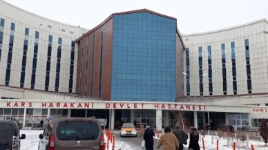 Kars'ta yabani ot toplayan 4 kişi zehirlendi!